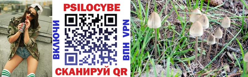 Галлюциногенные грибы GOLDEN TEACHER  Усть-Джегута 