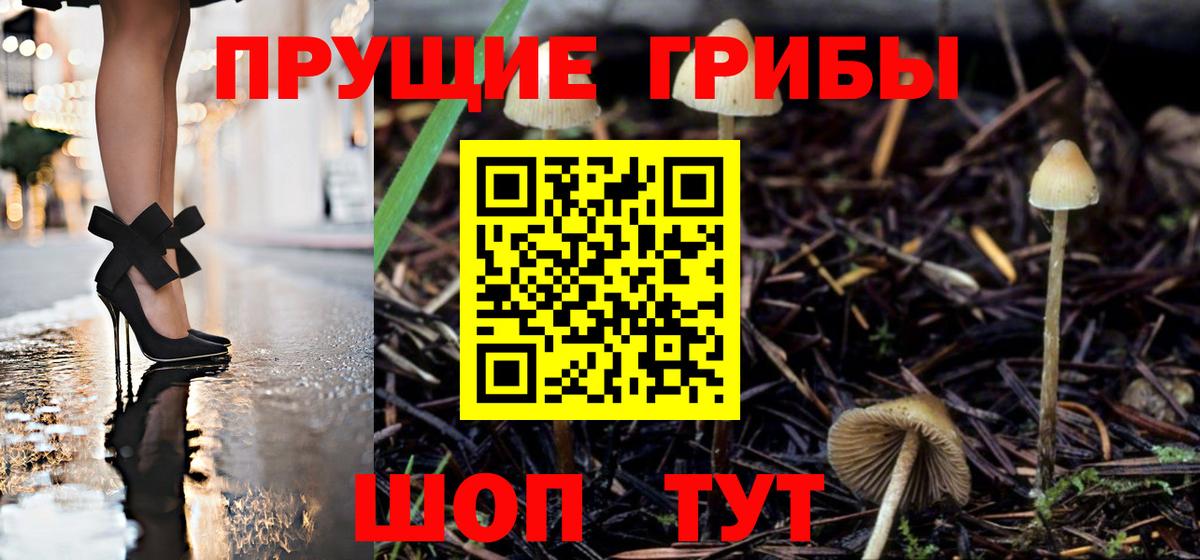 Галлюциногенные грибы мицелий  Галлюциногенные грибы Cubensis  Усть-Джегута  Вход с VPN 